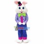 Friendly Easter Bunny Mascot Costume