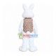 Happy Easter Bunny Mascot Costume Happy Easter Bunny Mascot Costume