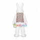 Purple Vest Rabbit Mascot Costume Purple Vest Rabbit Mascot Costume