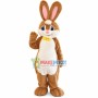 Lovely Easter Rabbit Mascot Costume