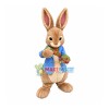 Friendly Peter Rabbit Mascot Costume