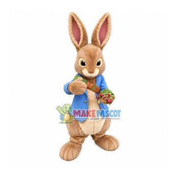 Friendly Peter Rabbit Mascot Costume