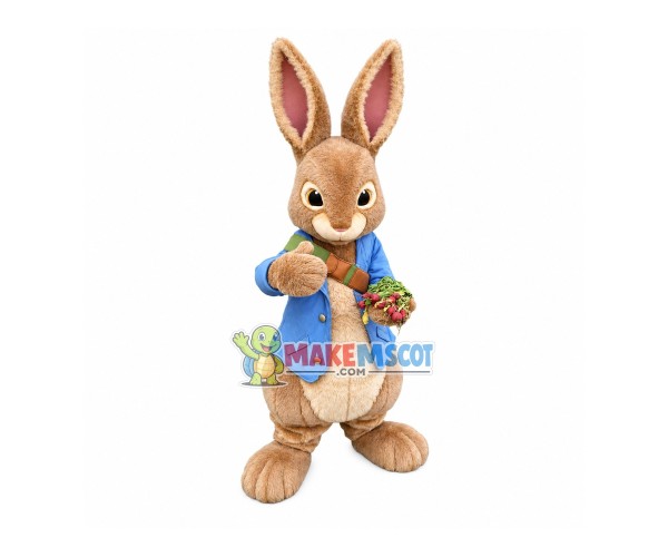 Friendly Peter Rabbit Mascot Costume