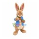 Friendly Peter Rabbit Mascot Costume Friendly Peter Rabbit Mascot Costume