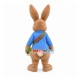 Friendly Peter Rabbit Mascot Costume Friendly Peter Rabbit Mascot Costume