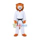 Strong Taekwondo Lion Mascot Costume Strong Taekwondo Lion Mascot Costume