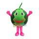 Thin-skinned Watermelon Mascot Costume