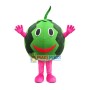 Thin-skinned Watermelon Mascot Costume