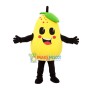 Watery Fragrant Pear Mascot Costume