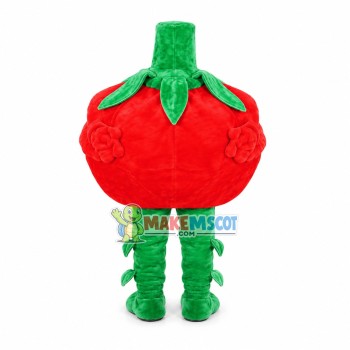 Shriveled Tomato Mascot Costume Shriveled Tomato Mascot Costume