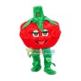 Shriveled Tomato Mascot Costume