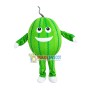 Emerald Watermelon Cartoon Mascot Costume