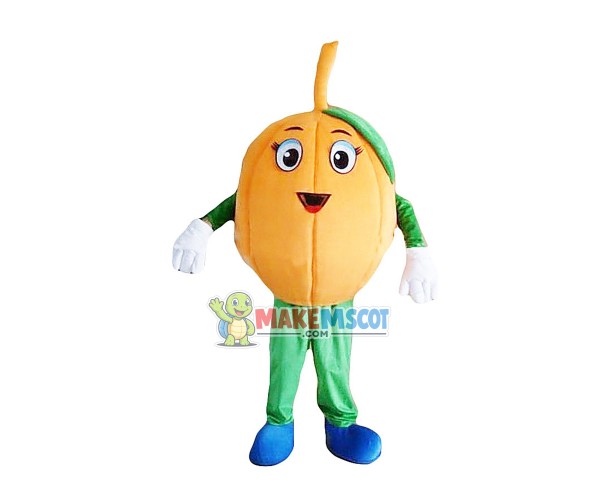 Loquat Fruit Mascot Costume Loquat Fruit Mascot Costume
