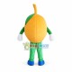 Loquat Fruit Mascot Costume Loquat Fruit Mascot Costume