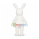 Crazy Rabbit Cartoon Mascot Costume Crazy Rabbit Cartoon Mascot Costume