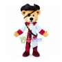 Captain Pirate Bear Mascot Costume