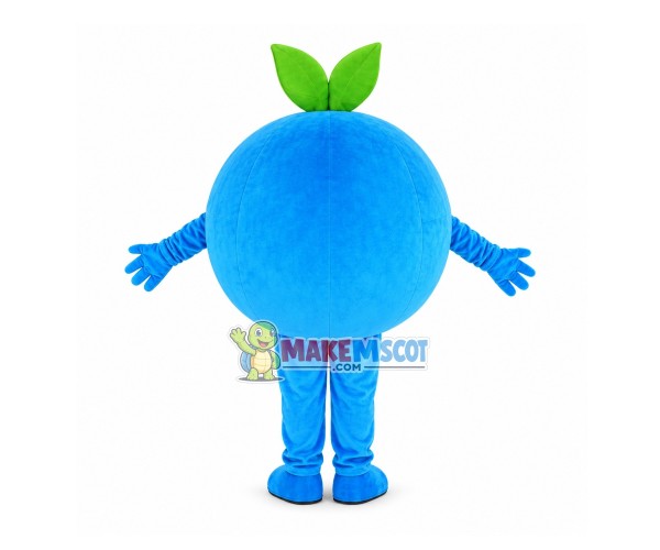 Big Eyes Cartoon Blueberry Mascot Costume Big Eyes Cartoon Blueberry Mascot Costume
