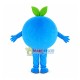 Big Eyes Cartoon Blueberry Mascot Costume Big Eyes Cartoon Blueberry Mascot Costume