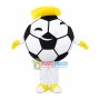 Football Cartoon Sport Mascot Costume