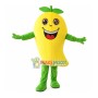 Mango Cartoon Mascot Costume