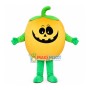 Halloween Funny Pumpkin Mascot Costume