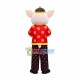 Festive Auspicious Pig Mascot Costume