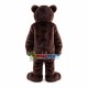 Furry Wild Bear Mascot Costume Furry Wild Bear Mascot Costume