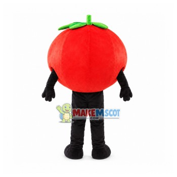 Transparent Eyes Cartoon Tomato Mascot Costume