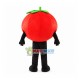 Transparent Eyes Cartoon Tomato Mascot Costume Transparent Eyes Cartoon Tomato Mascot Costume