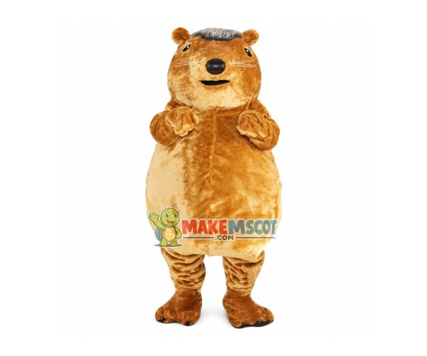 Big Gopher Plush Mascot Costume Big Gopher Plush Mascot Costume