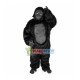 Interrogative Long-haired Chimpanzee Mascot Costume