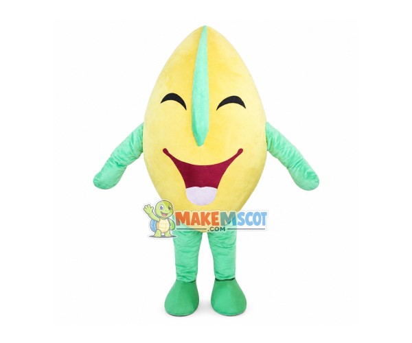 Hard Nut Mascot Cartoon Costume Hard Nut Mascot Cartoon Costume