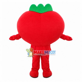 Funny Tomato Mascot Costume