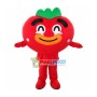 Funny Tomato Mascot Costume