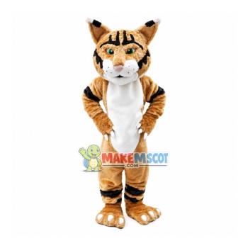 Scrutinizing Tiger Mascot Costume