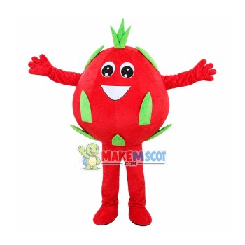 Red Dragon Fruit Mascot Costume Red Dragon Fruit Mascot Costume