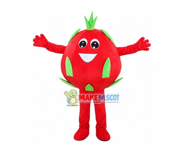 Red Dragon Fruit Mascot Costume Red Dragon Fruit Mascot Costume