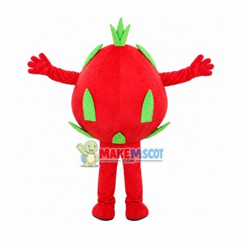 Red Dragon Fruit Mascot Costume Red Dragon Fruit Mascot Costume
