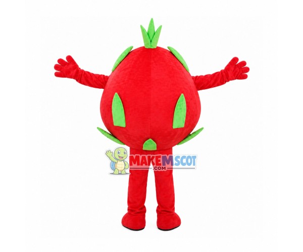 Red Dragon Fruit Mascot Costume Red Dragon Fruit Mascot Costume