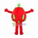 Red Dragon Fruit Mascot Costume Red Dragon Fruit Mascot Costume