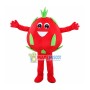 Red Dragon Fruit Mascot Costume