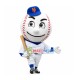League Baseball Man Mascot Costume