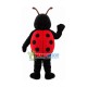 Black Ladybug Mascot Handmade Costume