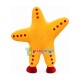 Orange Starfish Mascot Costume For Show Orange Starfish Mascot Costume For Show