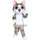 Cheese Cat Mascot Cartoon Costume Cheese Cat Mascot Cartoon Costume