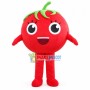 Ripe Tomato Mascot Cartoon Costume