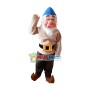 Sneezy Dwarf Mascot Adult Costume