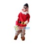 Grumpy Dwarf Mascot Adult Costume