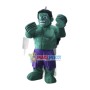 Powerful Strong Hulk Mascot Costume