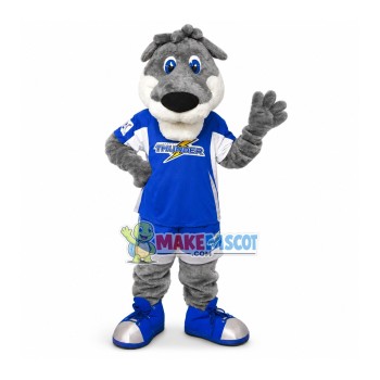 NBA Thunder Tiger Mascot Costume